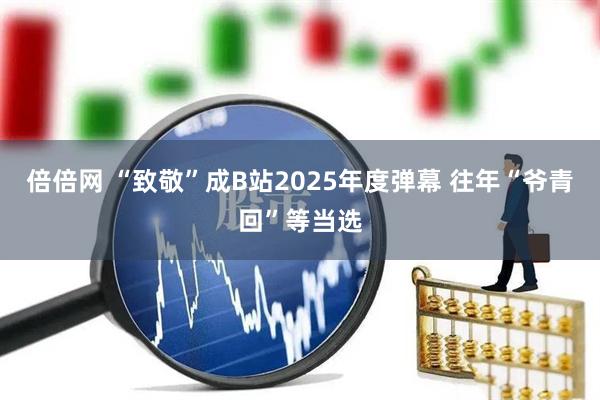 倍倍网 “致敬”成B站2025年度弹幕 往年“爷青回”等当选